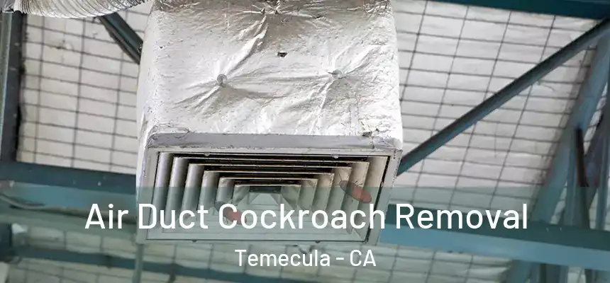 Air Duct Cockroach Removal Temecula - CA
