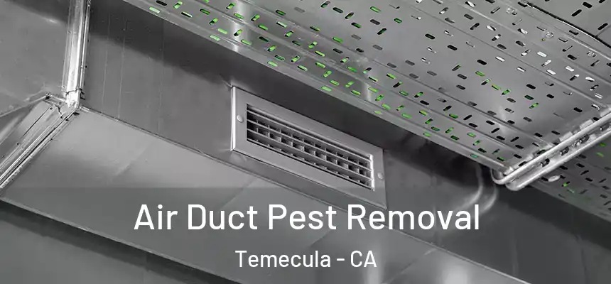 Air Duct Pest Removal Temecula - CA