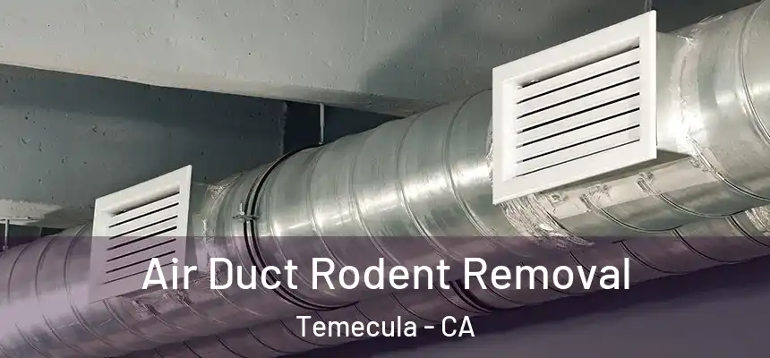 Air Duct Rodent Removal Temecula - CA