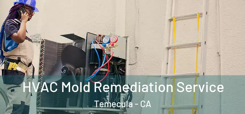 HVAC Mold Remediation Service Temecula - CA