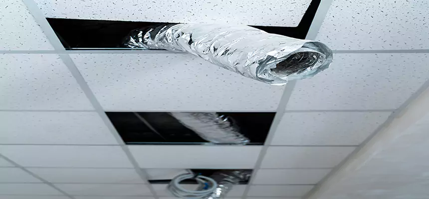 Our Air Duct Pet Hair Removal Services in Temecula, CA