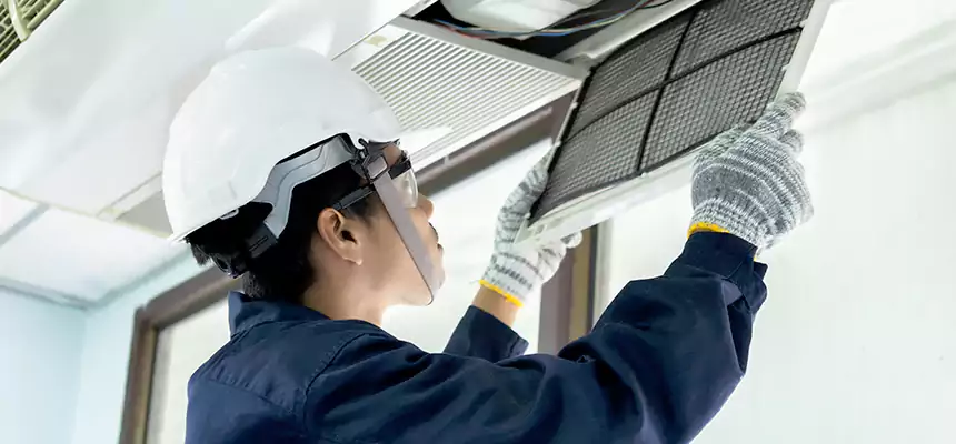 Our Mold & Mildew Removal from Air Ducts Services in Temecula, CA