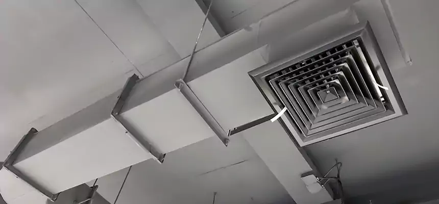 Our Pest Removal From Ducts Services in Temecula, CA