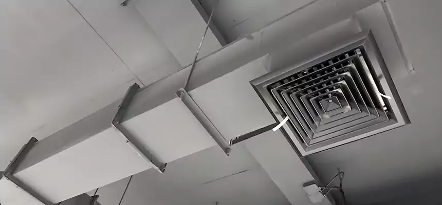 Our Rodent Droppings In Vents Services in Temecula, CA