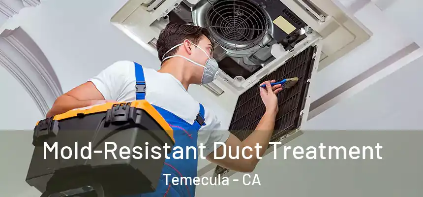 Mold-Resistant Duct Treatment Temecula - CA