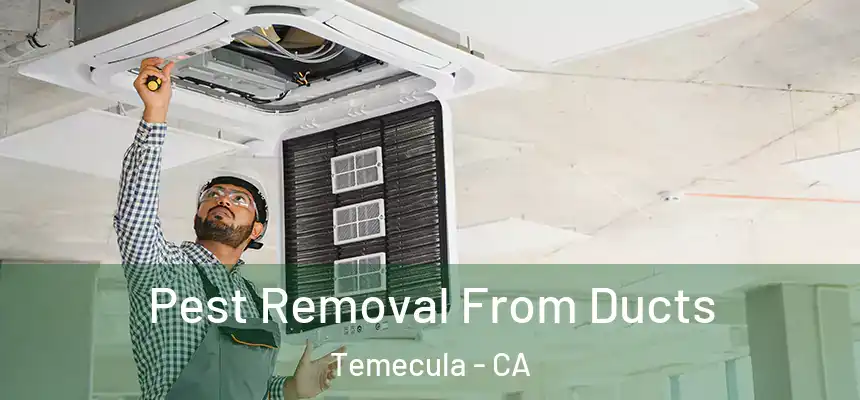  Pest Removal From Ducts Temecula - CA
