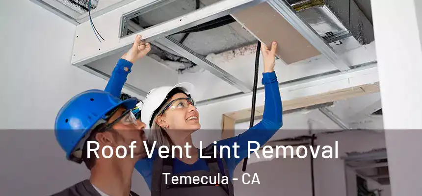 Roof Vent Lint Removal Temecula - CA