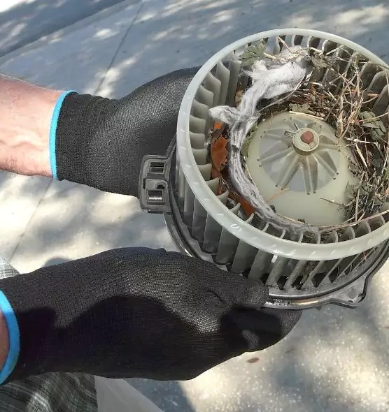 About Air Duct Rat Removal in Temecula, CA