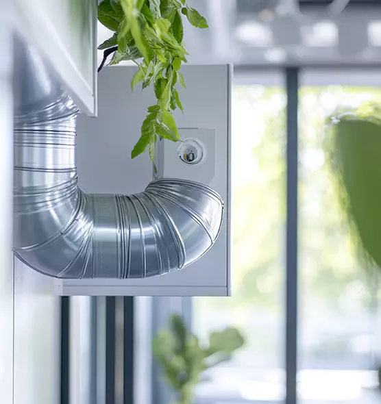 Professional Eco-Friendly Duct Cleaning Services in Temecula, CA