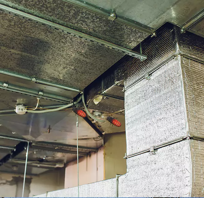 Why Homeowners & Businesses Trust Us in Temecula, CA?