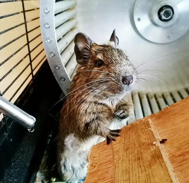 Why Homeowners & Businesses Trust Us Temecula, CA